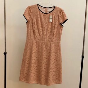 Ann Taylor Loft lace dress